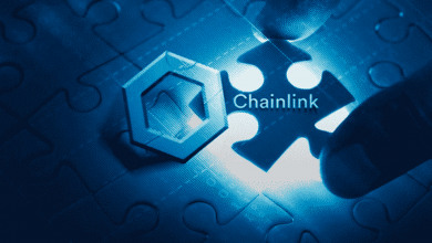 ChainLink                                         