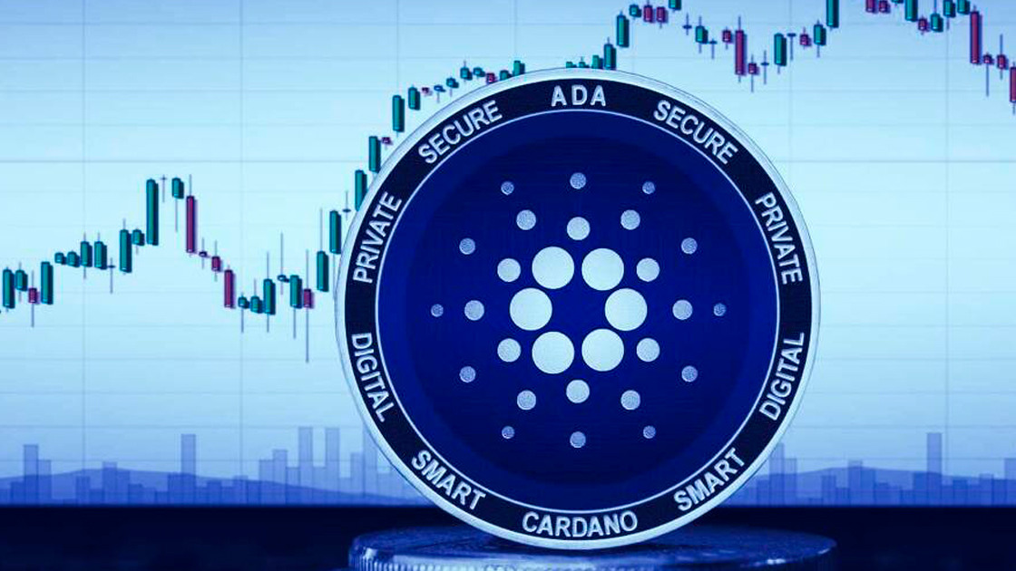 Cardano                                           