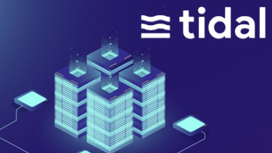 Tidal Finance Balancer LPB                        