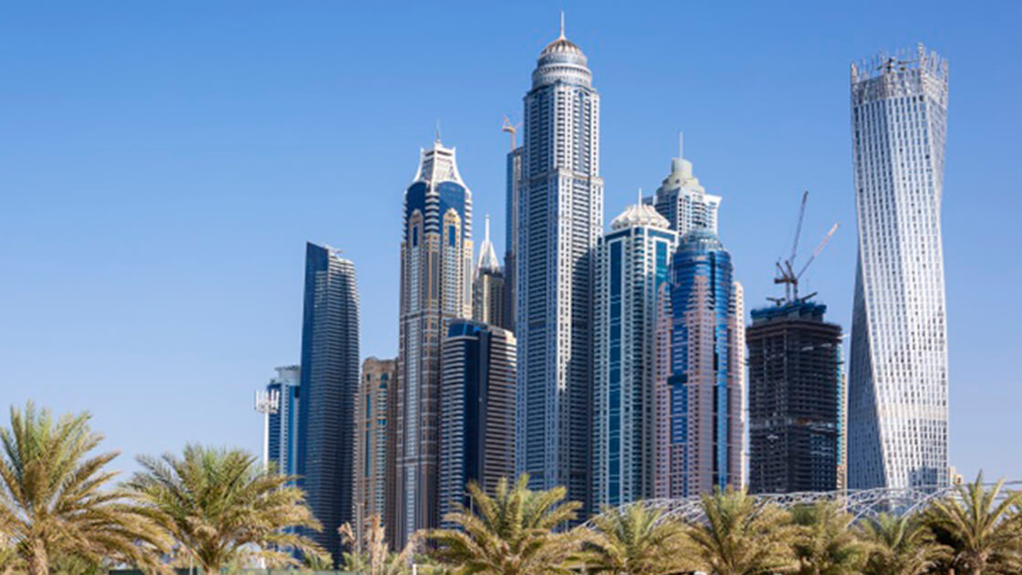 Dubai Fund sells BTC buys ADA and DOT             