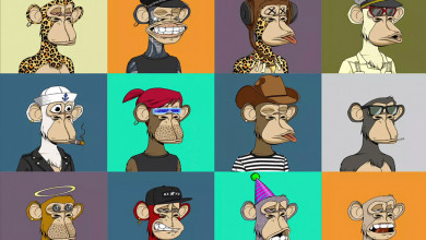 Yuga Labs funding round                           