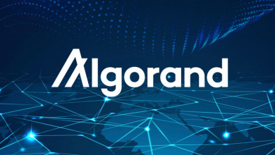 Algorand blockchain news                          