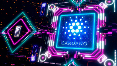 Cardano                                           