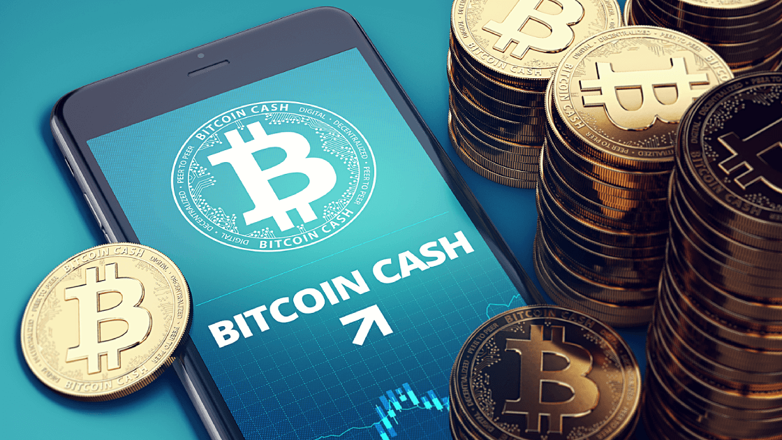 Bitcoin Cash                                      