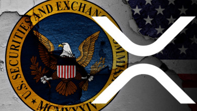 SEC vs Ripple decision May                        