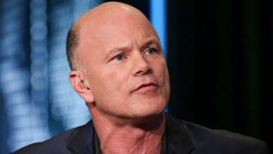 Mike Novogratz crypto                             
