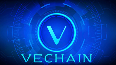 VeChain Jumps 23% Weekly                          