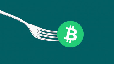Bitcoin Cash                                      