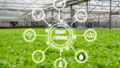 TraceHarvest is launched                          