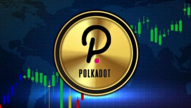 Polkadot crypto new all time high                 