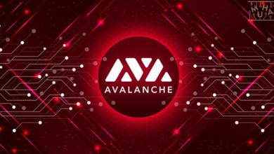 Avalanche AVAX new all-time high                  