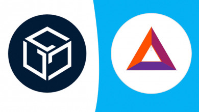 Basic Attention Token GALA                        