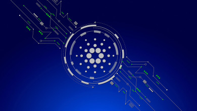 Cardano ADA staking                               
