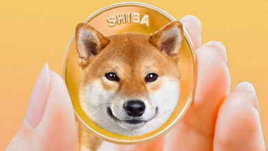 Shiba Inu ath                                     