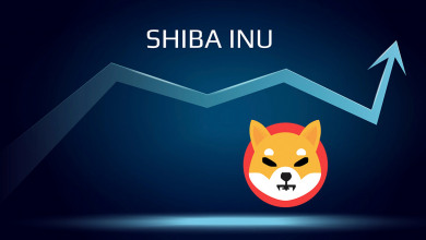 Elon Musk tweet Shiba Inu                         