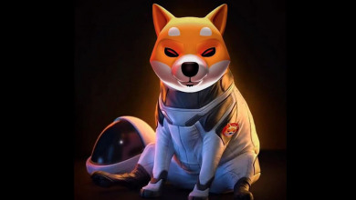 Shiba Inu massive surge                           