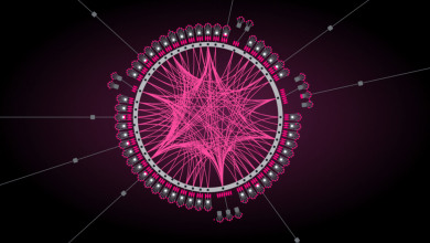 Polkadot Kusama parachains                        