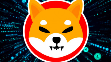 Shiba Inu all time high                           