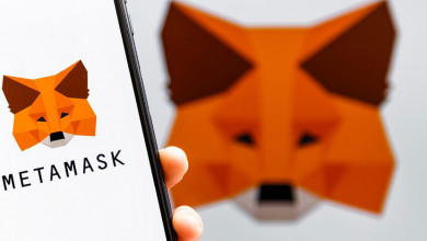 MetaMask Sardine                                  