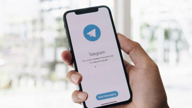 Toncoin Telegram                                  