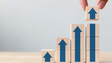 Top 10 crypto assets                              