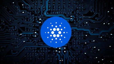 Cardano blockchain ADA                            
