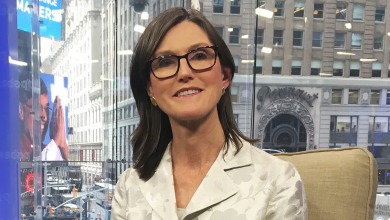 Cathie Wood Ark Invest                            