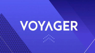 Voyager auction                                   