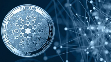 Cardano ADA blockchain                            