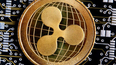 Ripple XRP burn                                   