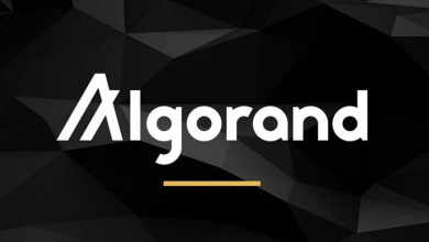 Algorand Hodlnaut crypto                          