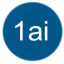 1AI