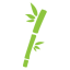 Bamboo