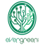 EverGreenCoin