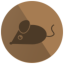 MOUSECOIN