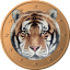 Tigercoin