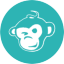 Aktionariat Green Monkey Club AG Tokenized Shares