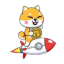 Baby Shiba Rocket