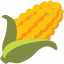 BITCORN