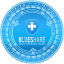Blueshare Token