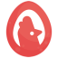 Chikn Egg