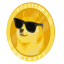 DogeCoin Private