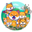 DogeVillage