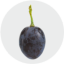 Grape