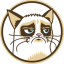Grumpy Cat