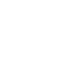 Guardian Coin