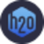 H2O