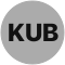 Bitkub Coin