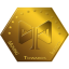 MTI Coin