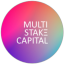 Multi-Stake Capital